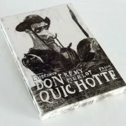 L'ingénieux Don Quichotte - Rémy Pierlot