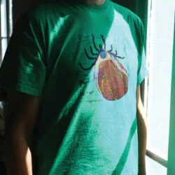 T-shirt Tique