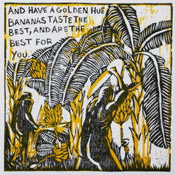 Gravure originale de Jean-Christophe Long - Banana 4